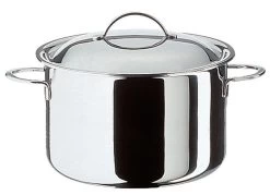 Spring Cristal Kookpan Met Deksel ø 20 Cm Rvs Glans