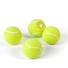 Trendform Roger Tennisbal Koelkastmagneet ø 2,2 Cm Kunststof Geel 4 Stuks